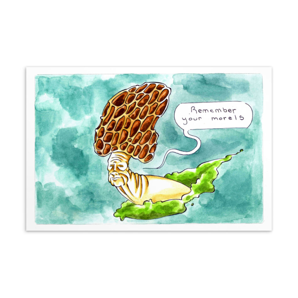 Punny Morel - Postcard